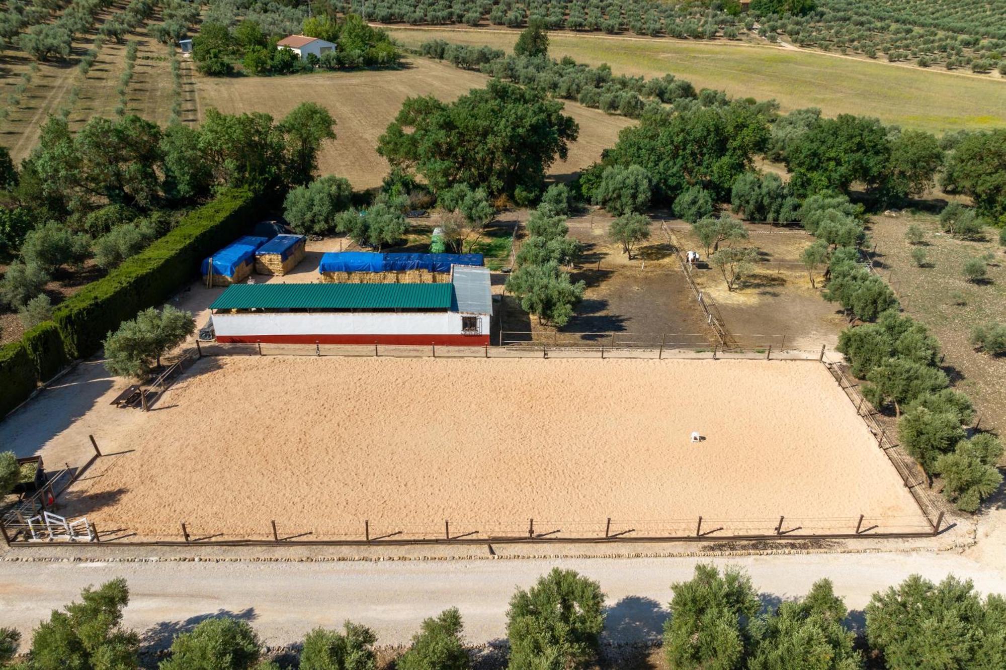 Pasa Fina, Luxury Holiday Retreat Вільянуева-дель-Трабуко Екстер'єр фото